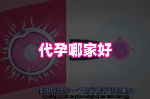 长沙助孕网站 1