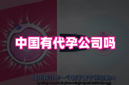 长沙助孕网站 2